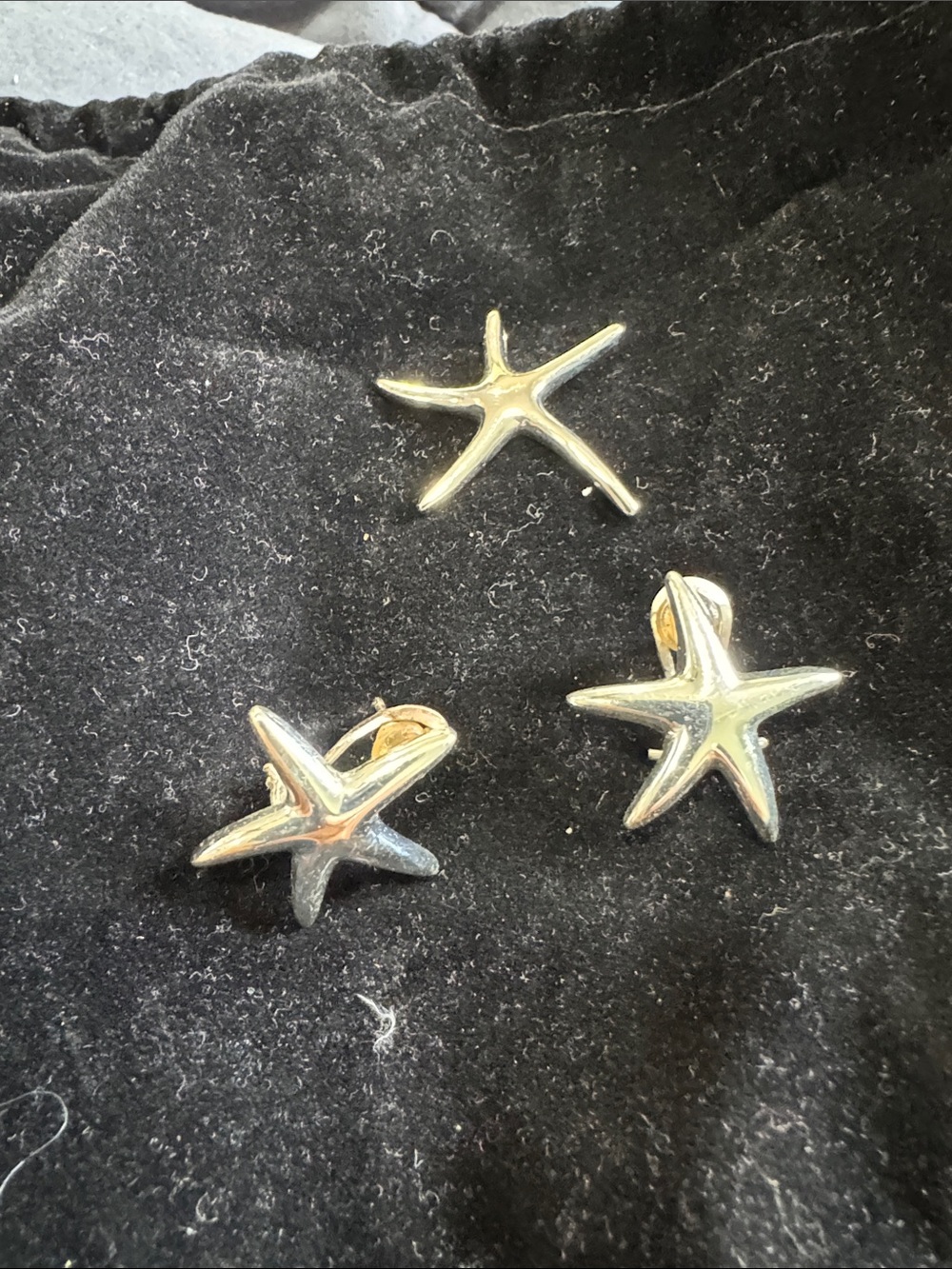 Sterling Silver Starfish Stud Earrings and Pendant Set